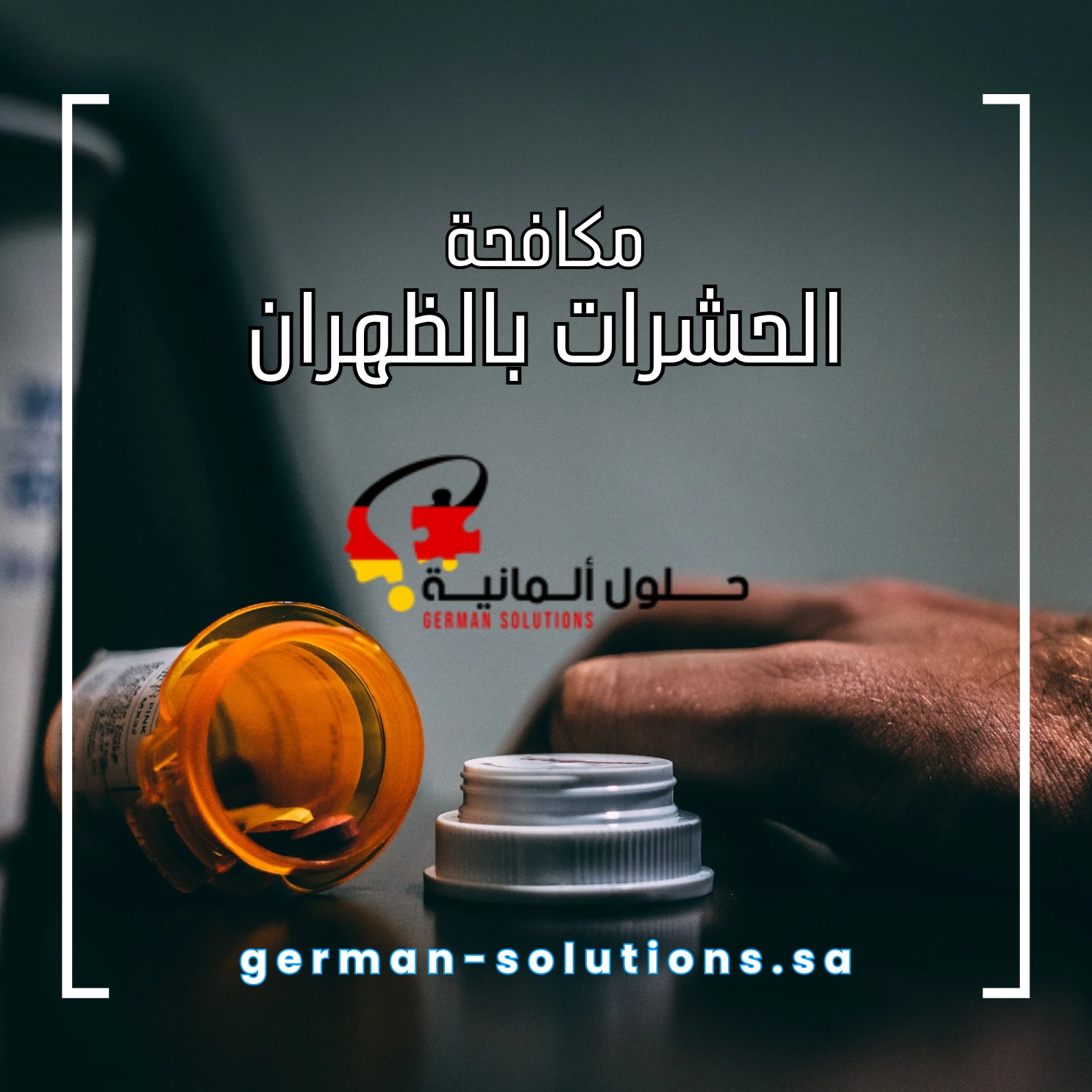 شركة مكافحة حشرات الظهران  title=